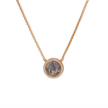 Lion Coin Pavé Halo Pendant Necklace